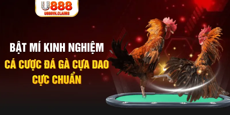 sv388 gold tỷ lệ cá cược châu á là gì