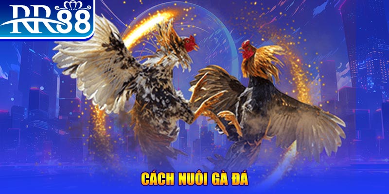 sv388 gold xổ số an giang
