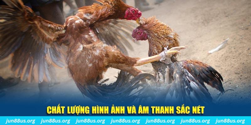 sv388 gold đăng nhập roulette live