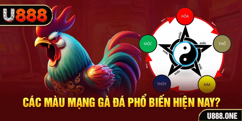 sv388 gold trực tiếp đá gà 88