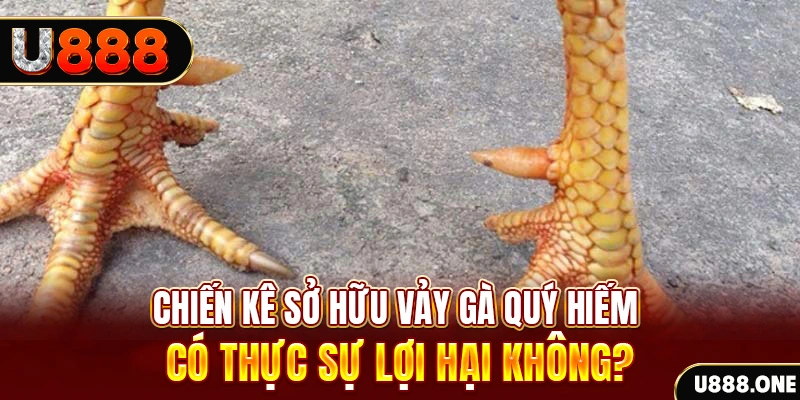 sv388 gold nohu .mx nổ hủ là gì