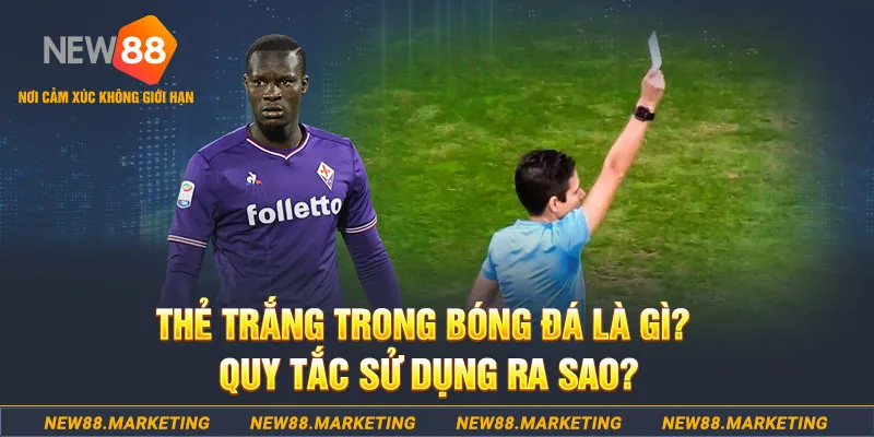 sv388 gold gà chọi mộc hóa
