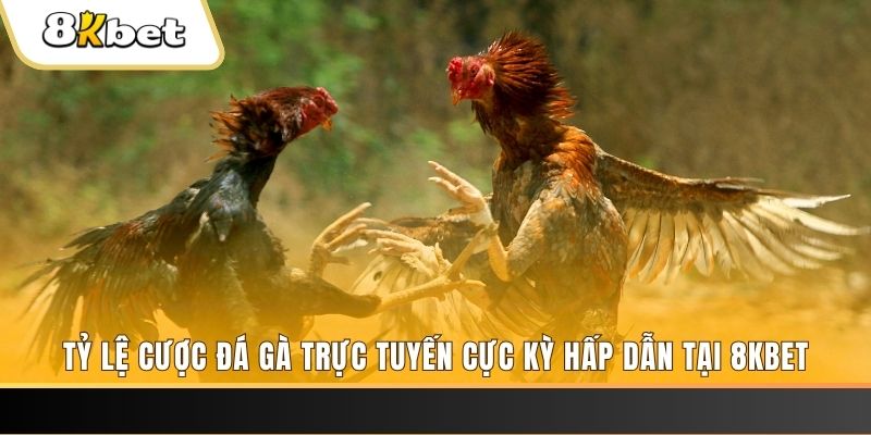 sv388 gold xổ số trực tiếp miền bắc