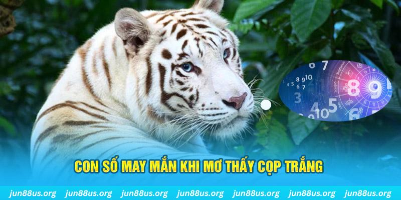 sv388 gold đá gà trực tiếp 88